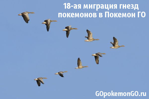 18-ая миграция гнезд покемонов в Покемон ГО 18-ая миграция гнезд покемонов в Покемон ГО